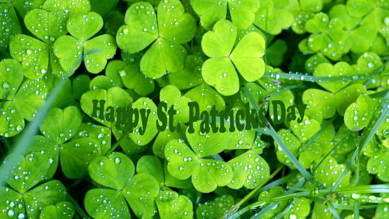 PicturesPool: St Patrick's Day Greetings WallPapers