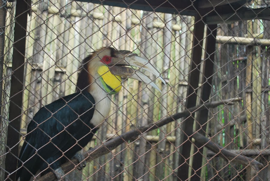 Foto Jelajah Nesia #2