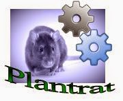 Plant Rat