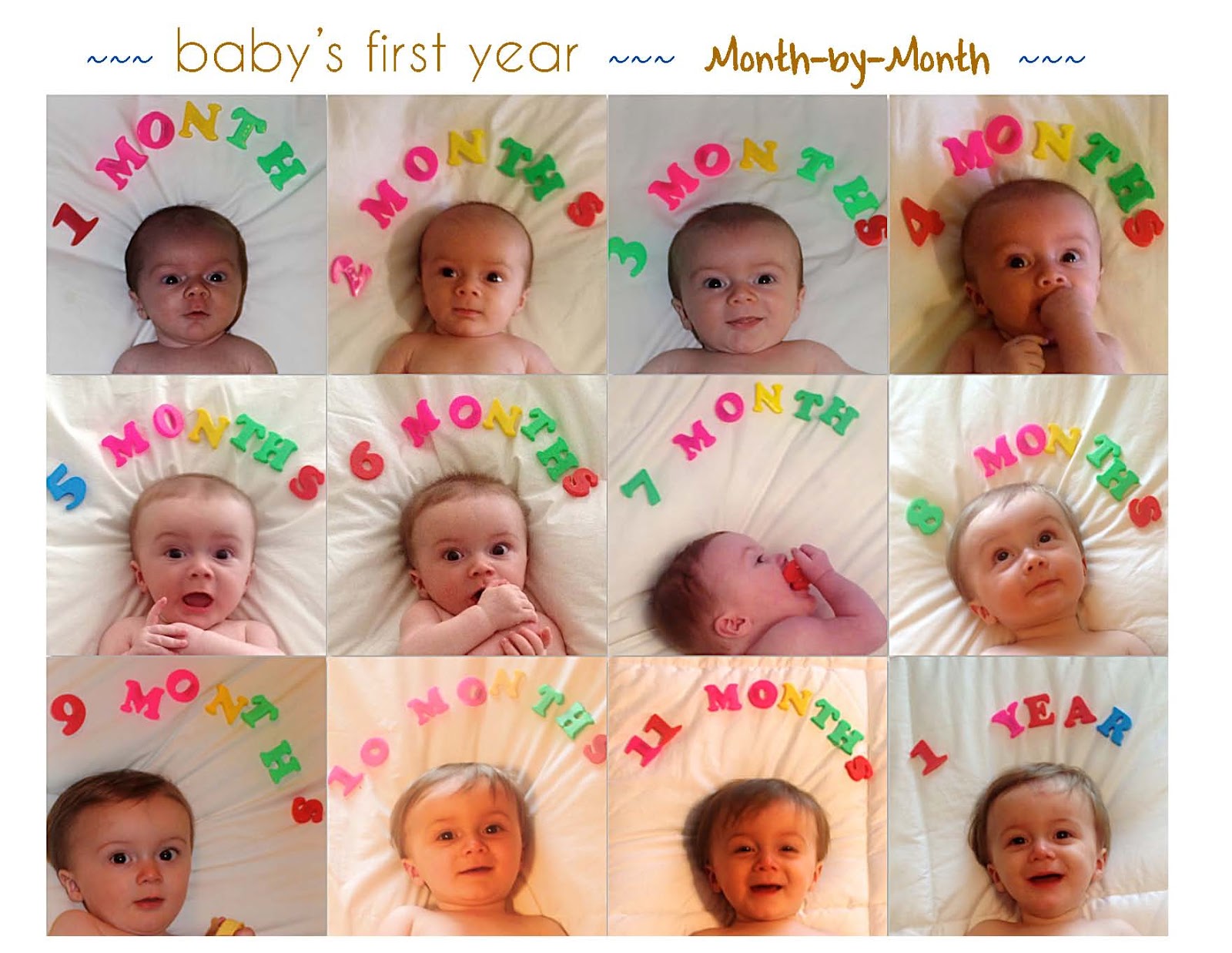 joie de vivre babys first year monthly photo collage baby first year photo