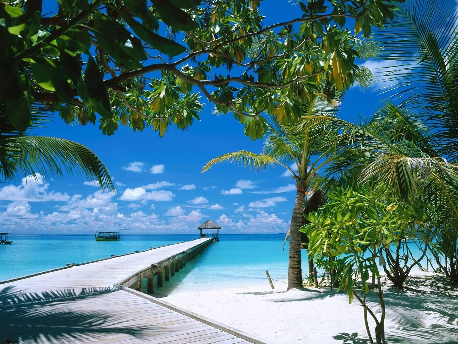 http://3.bp.blogspot.com/-h1DbcYBebdU/T-b328JFYsI/AAAAAAAAA00/XNnBpi7efgI/s1600/hainan+wyspa.jpg