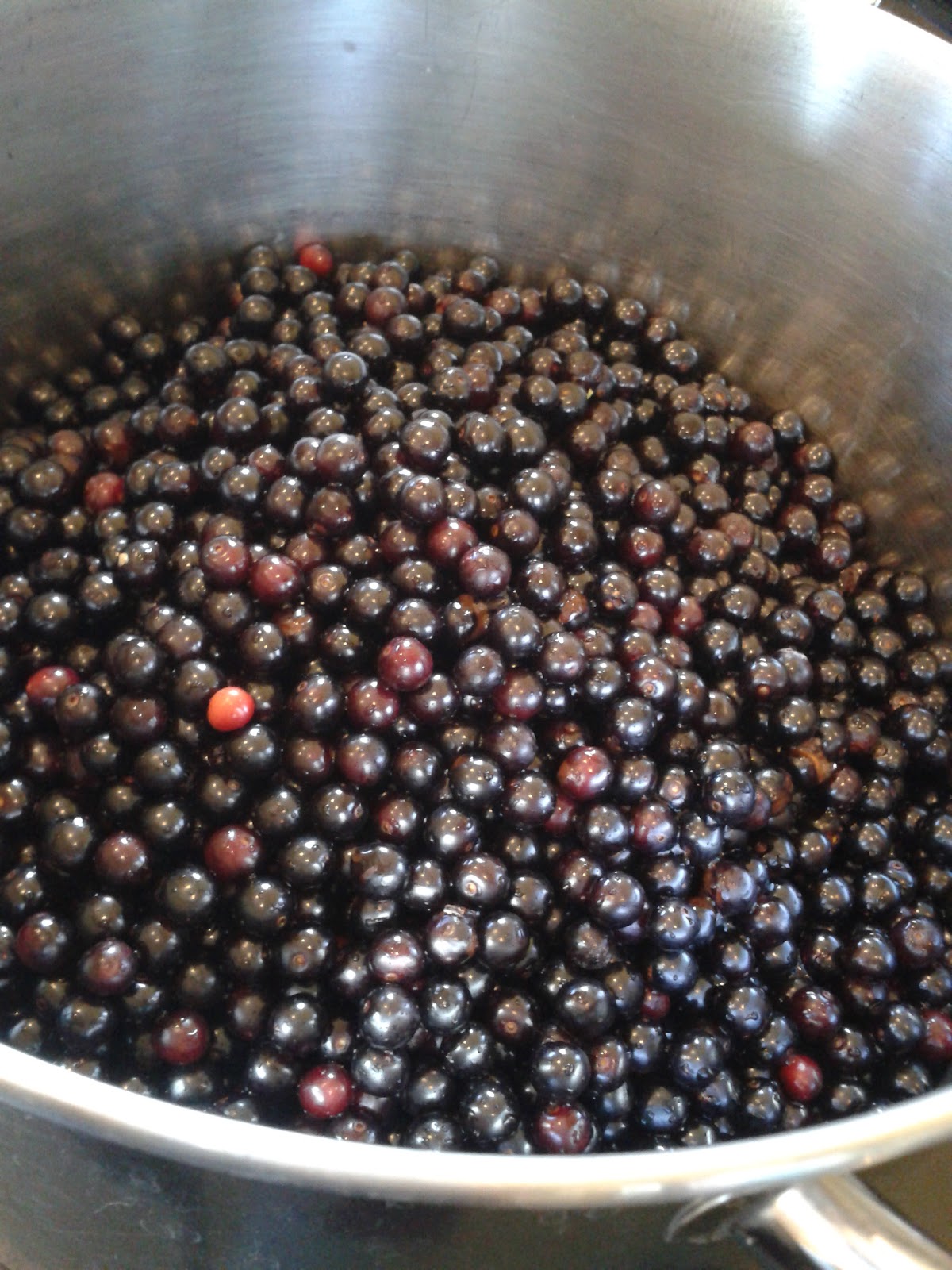 4 Acres Farm Lower Sugar Chokecherry Jam Recipe