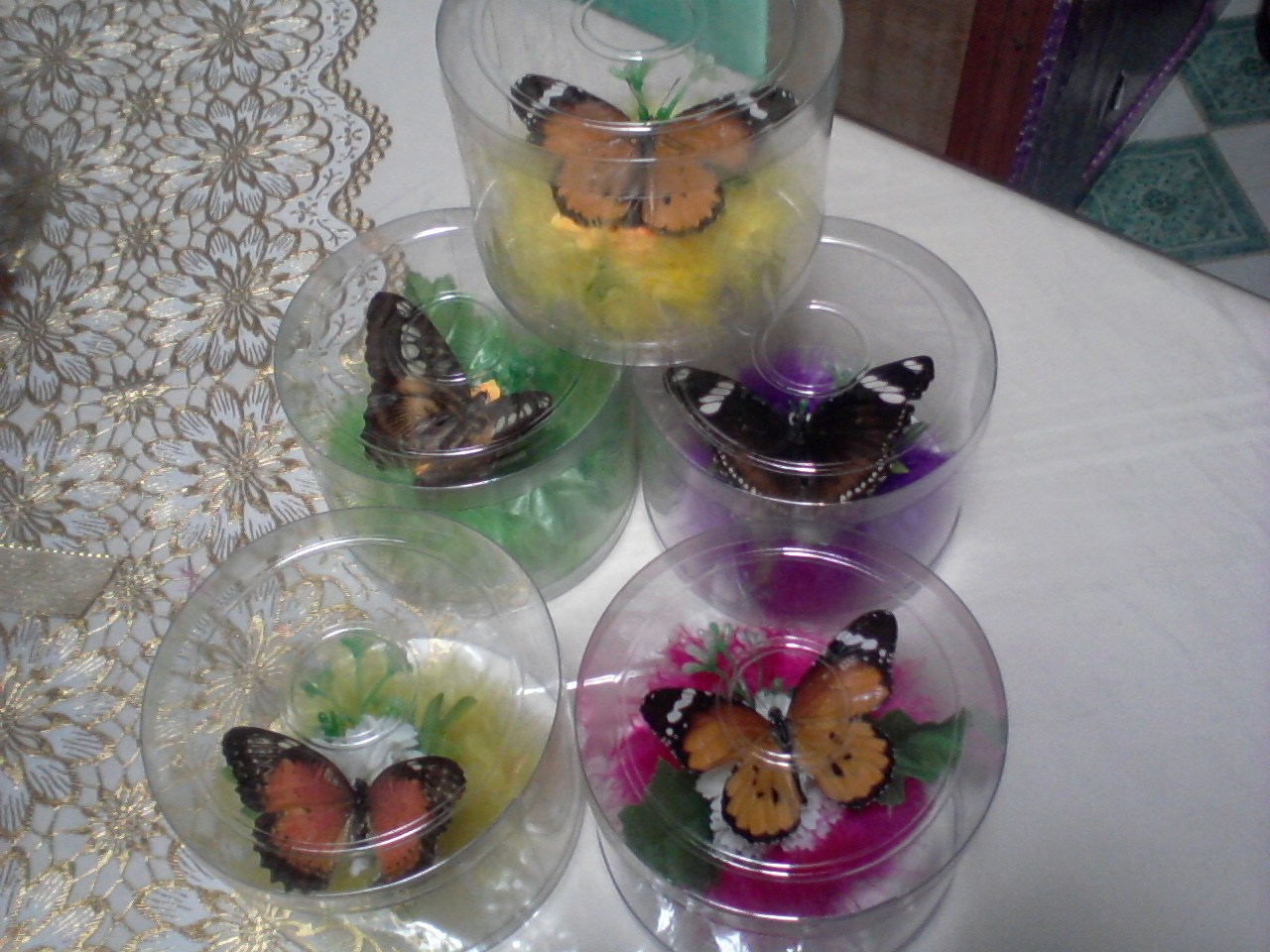 Butterfly Release for Wedding/Occasions Butterfly Souvenir Crystal