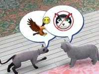 catstory-5.jpg
