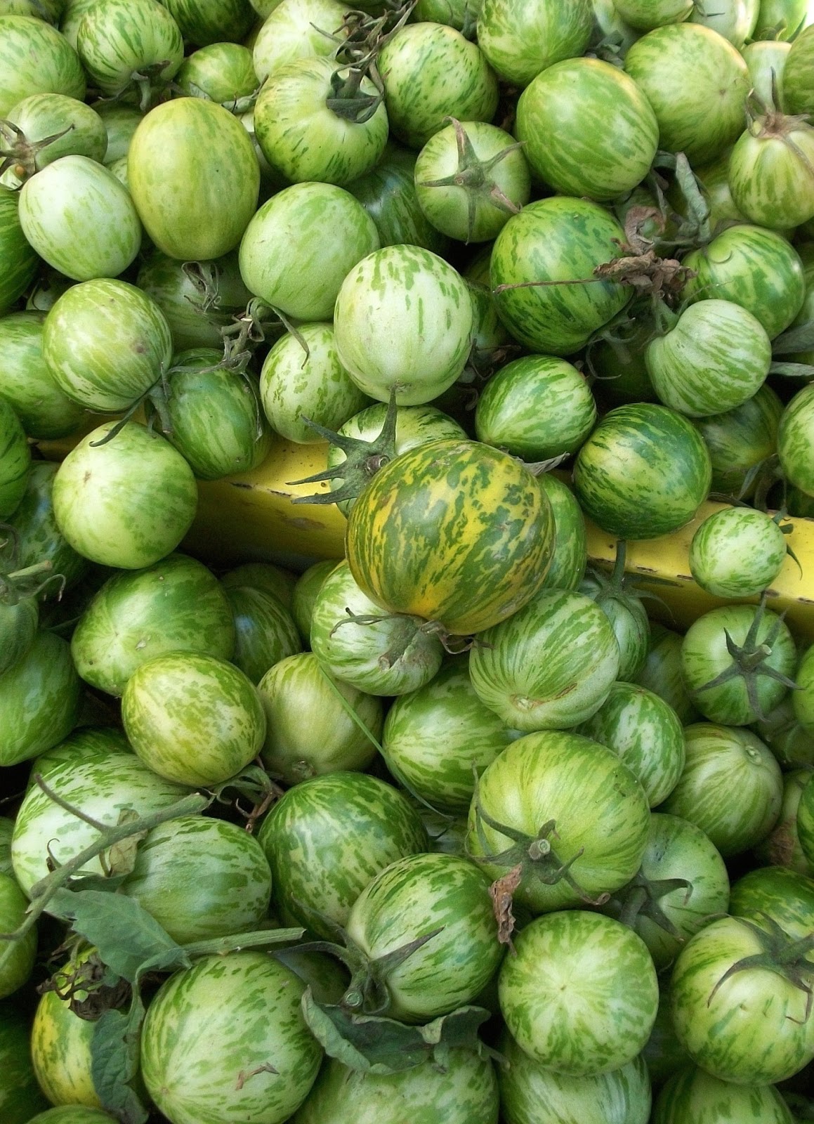 Julie B Booth Searching for Roy G Biv II Green Update 3