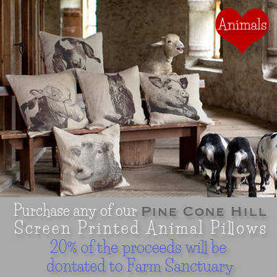 Lavender Fields A Lifestyle Store Animal Pillows For A Purpose