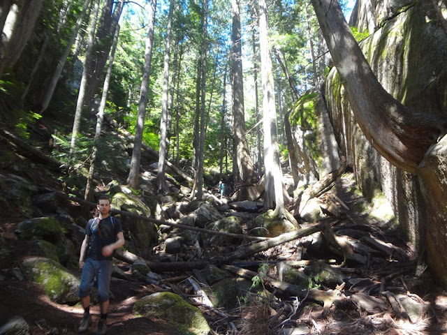 hiking down the chief trail