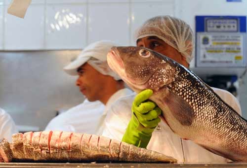 Cuidados na compra de pescados e ovos de chocolate