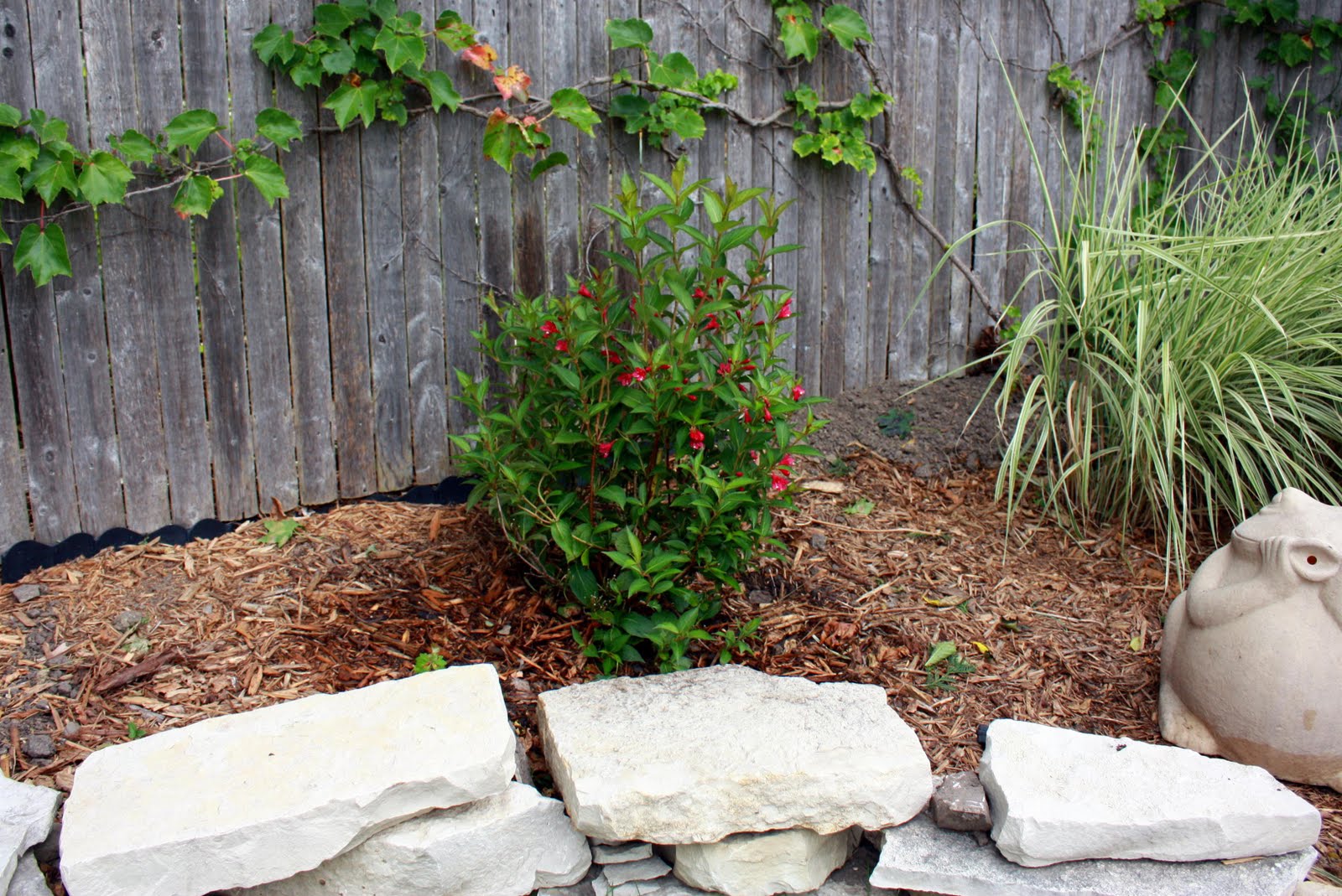 Gardening With Grace