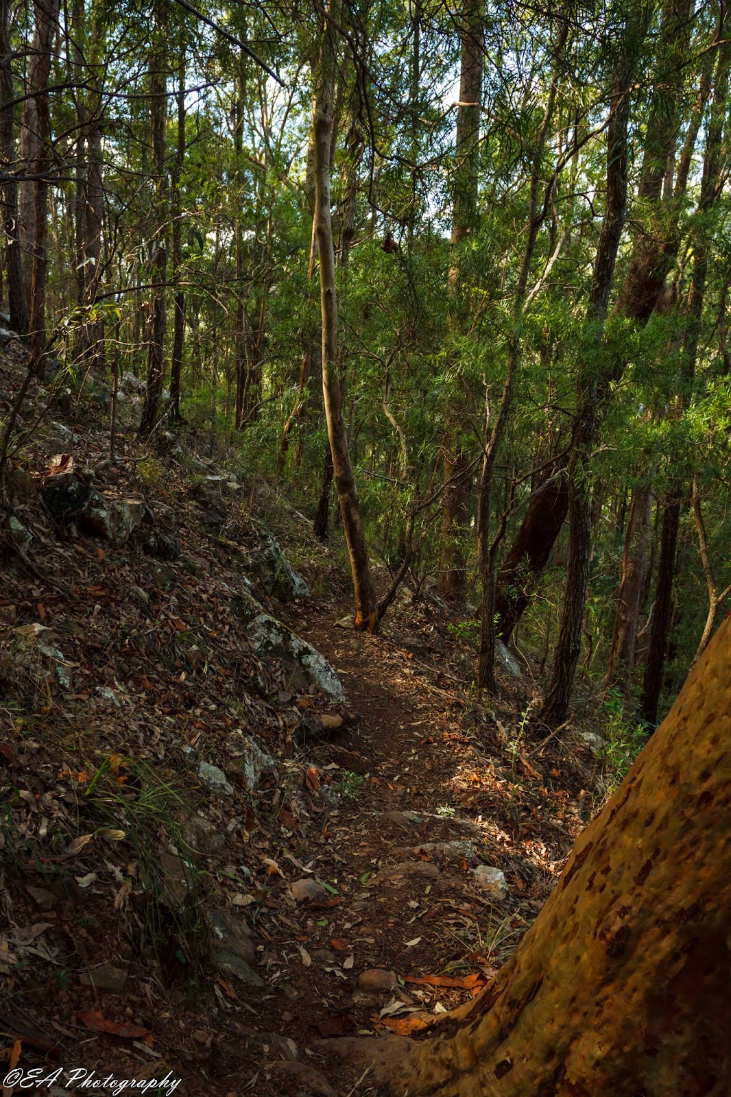 The Greatest of These is LOVE Killarney Glen