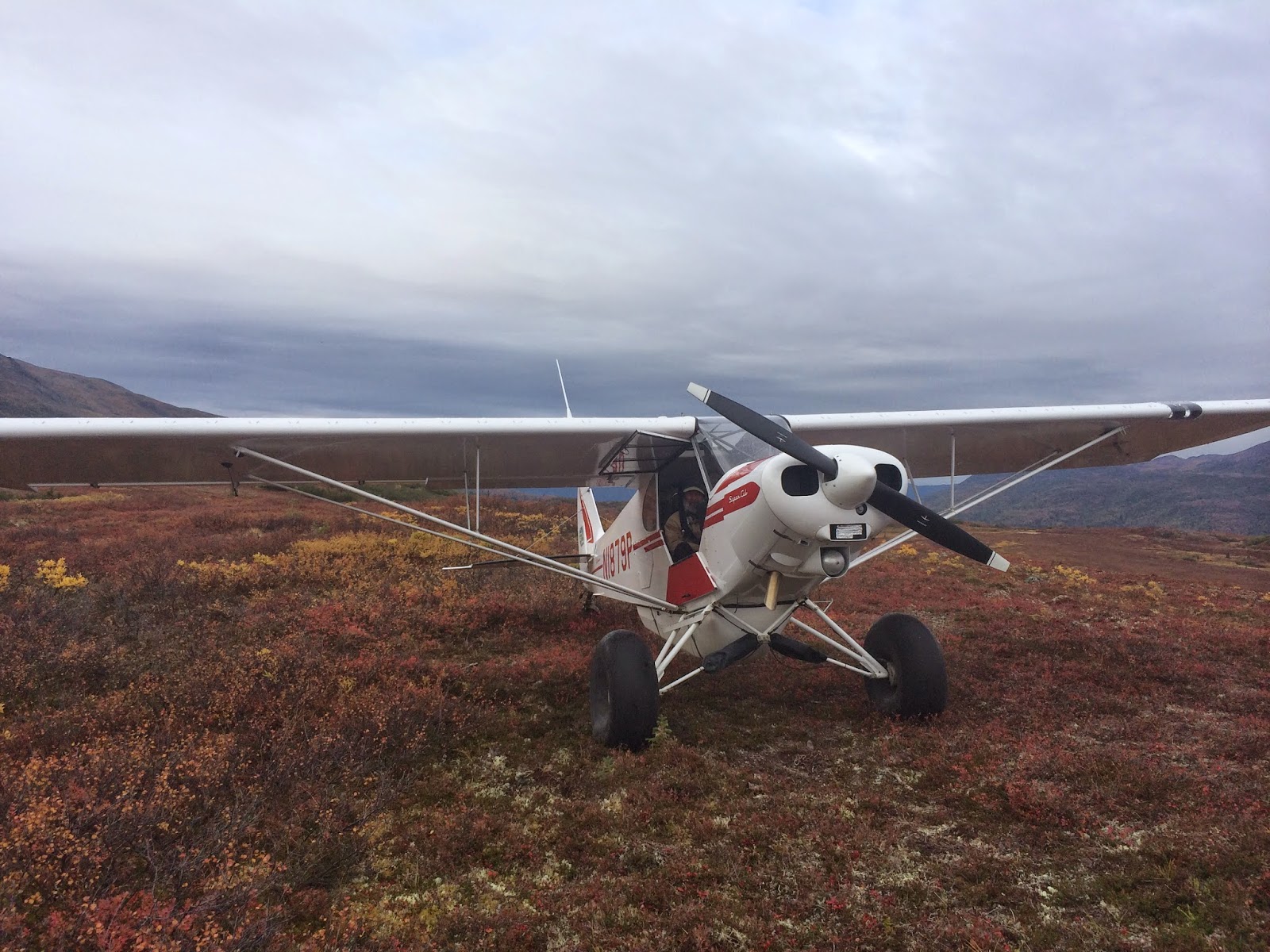 Flight School at Lake Hood Float Ratings, Super Cub Tailwheel