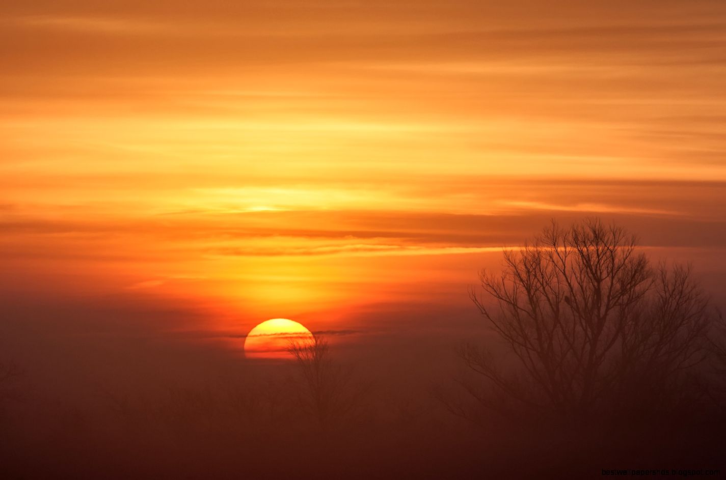 Sunrise Fog Sunrise Fog