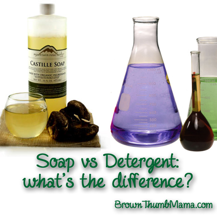 Soap vs Detergent What's the Difference? Brown Thumb Mama