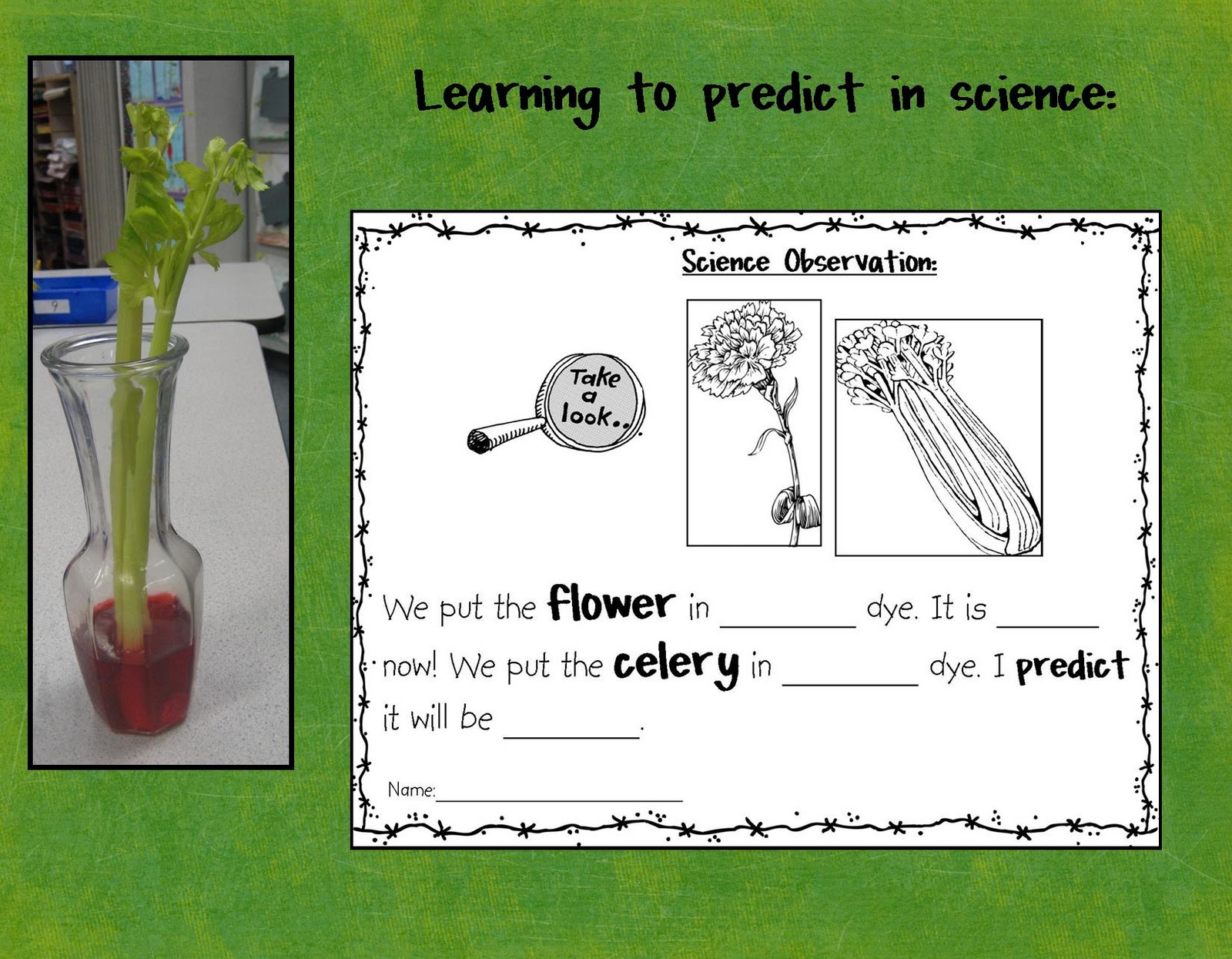 Kindergarten Crayons What's Blooming In My Room?