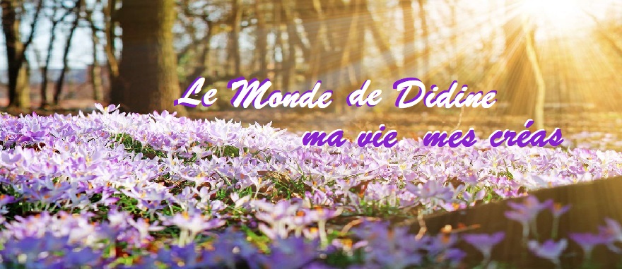 Le monde de Didine !