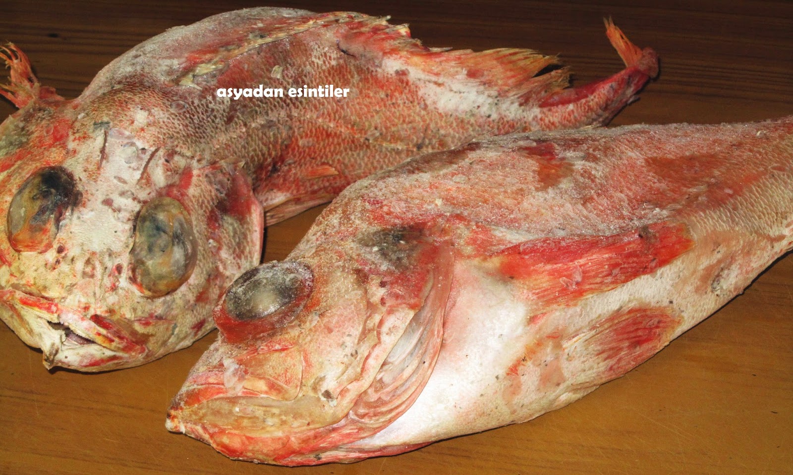 asyadan esintiler Red Fish , Kırmızı Balık