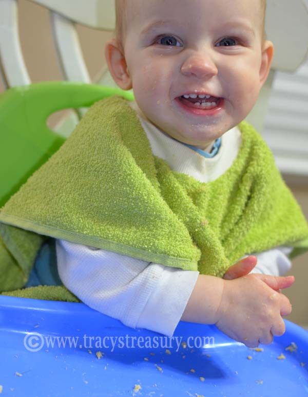 Tracy's Treasury Dish Towel Bib Tutorial