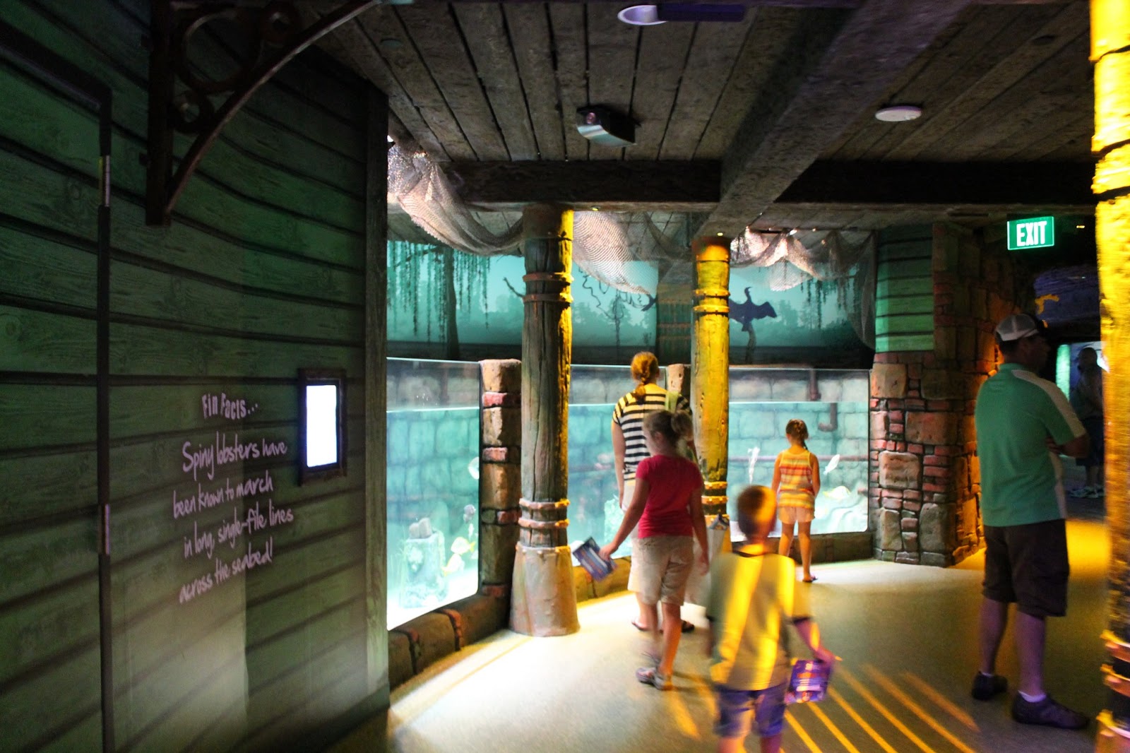 The Missouri Mom Sea Life Aquarium Kansas City, MO