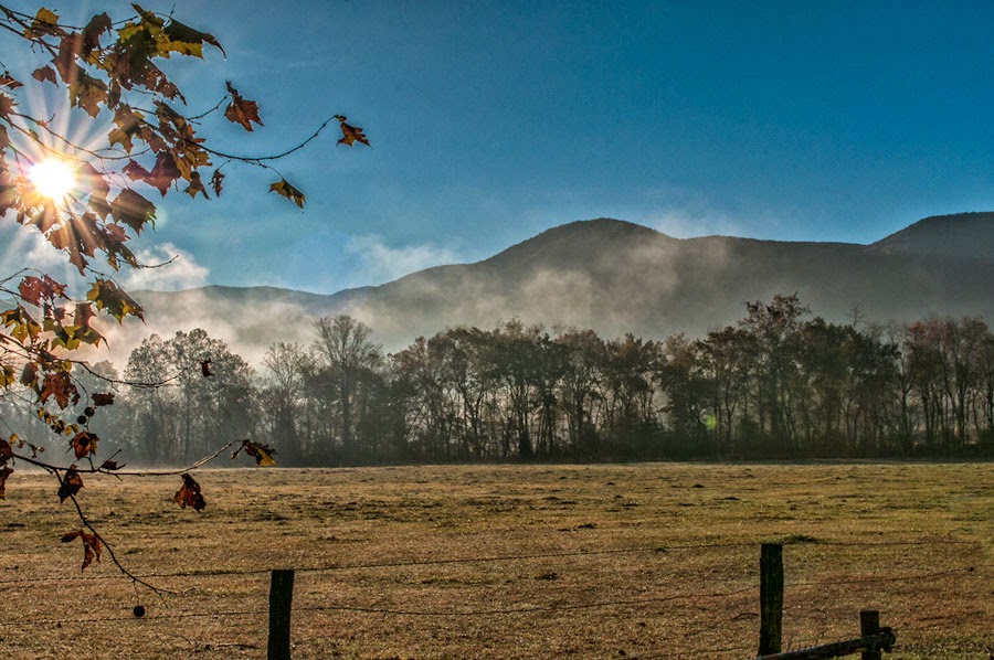 2014 Travels Parsons Branch Road by way of Cades Cove and the Dragon