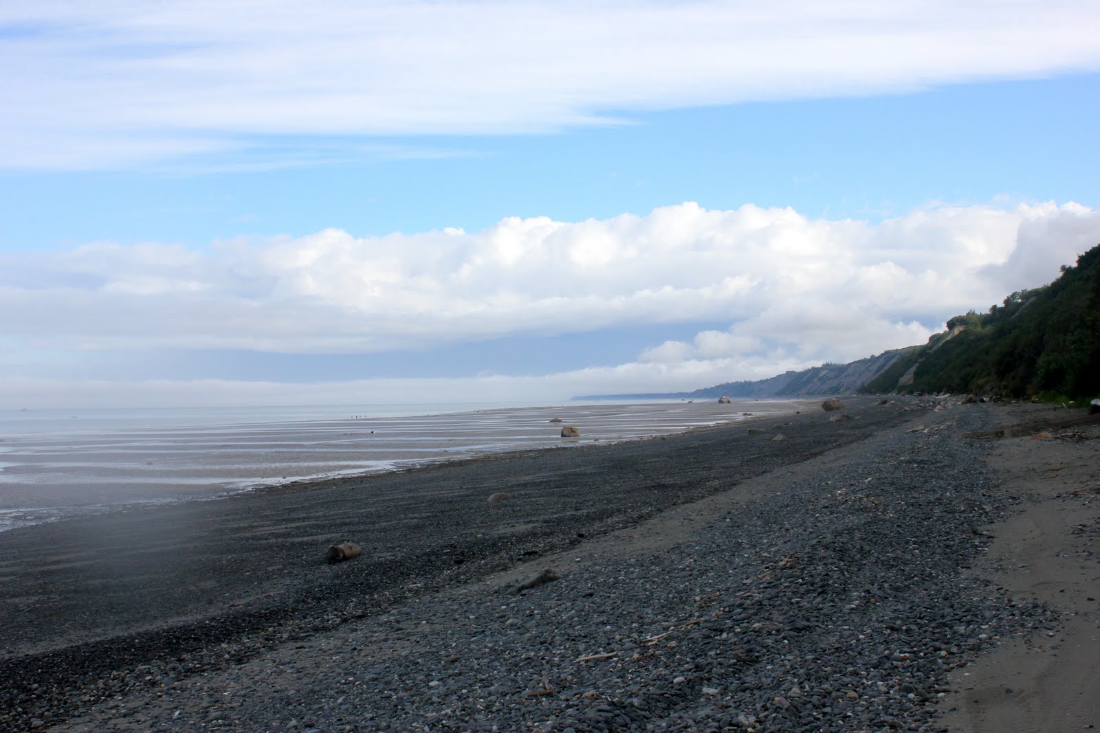 Clamming in Clam Gulch, Alaska To & Fro