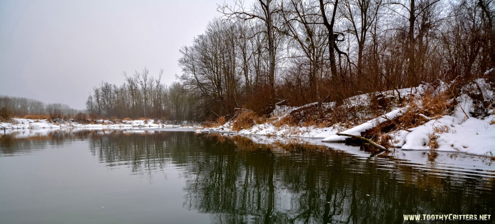 The first day in 2015 Pike fly fishing blog The first day in 2015 Pike fly fishing blog