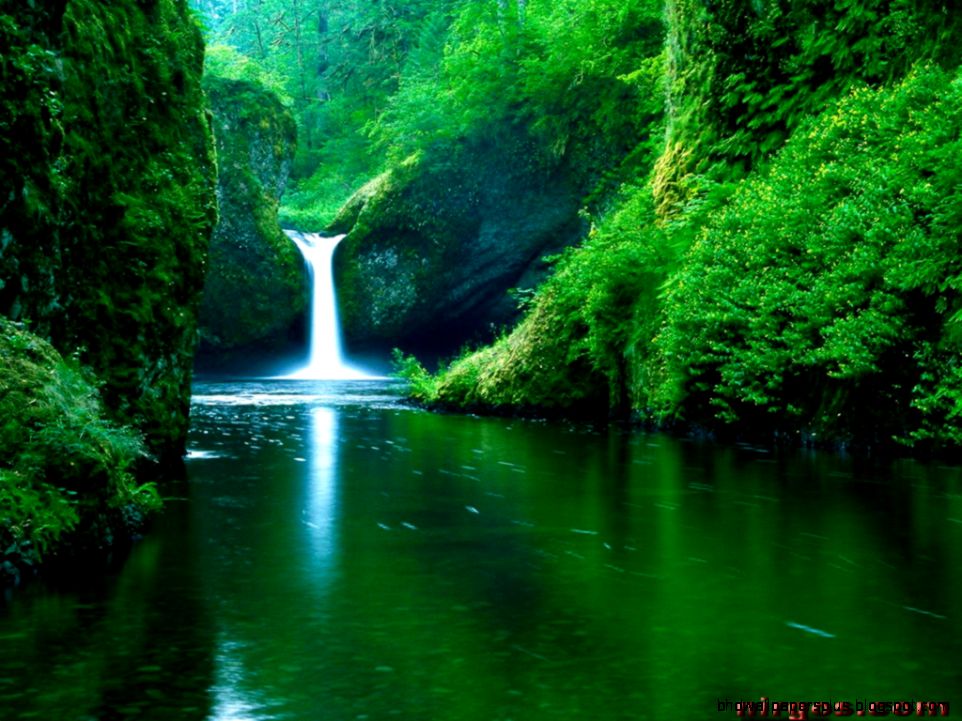 Free Nature Desktop Free Nature Desktop