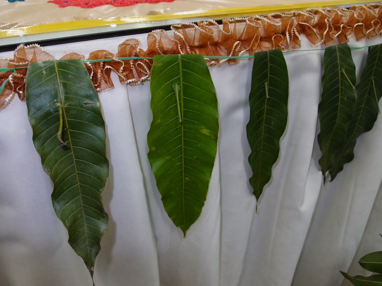 Xing Fu Mango Leaves Used As Deepavali Decoration