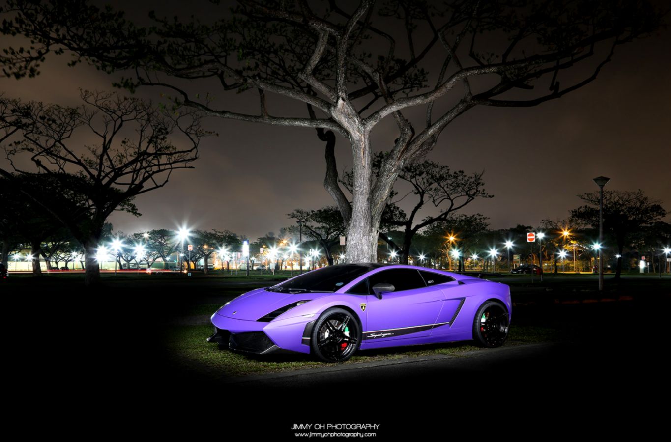 Pink and Purple Lamborghini Pink and Purple Lamborghini