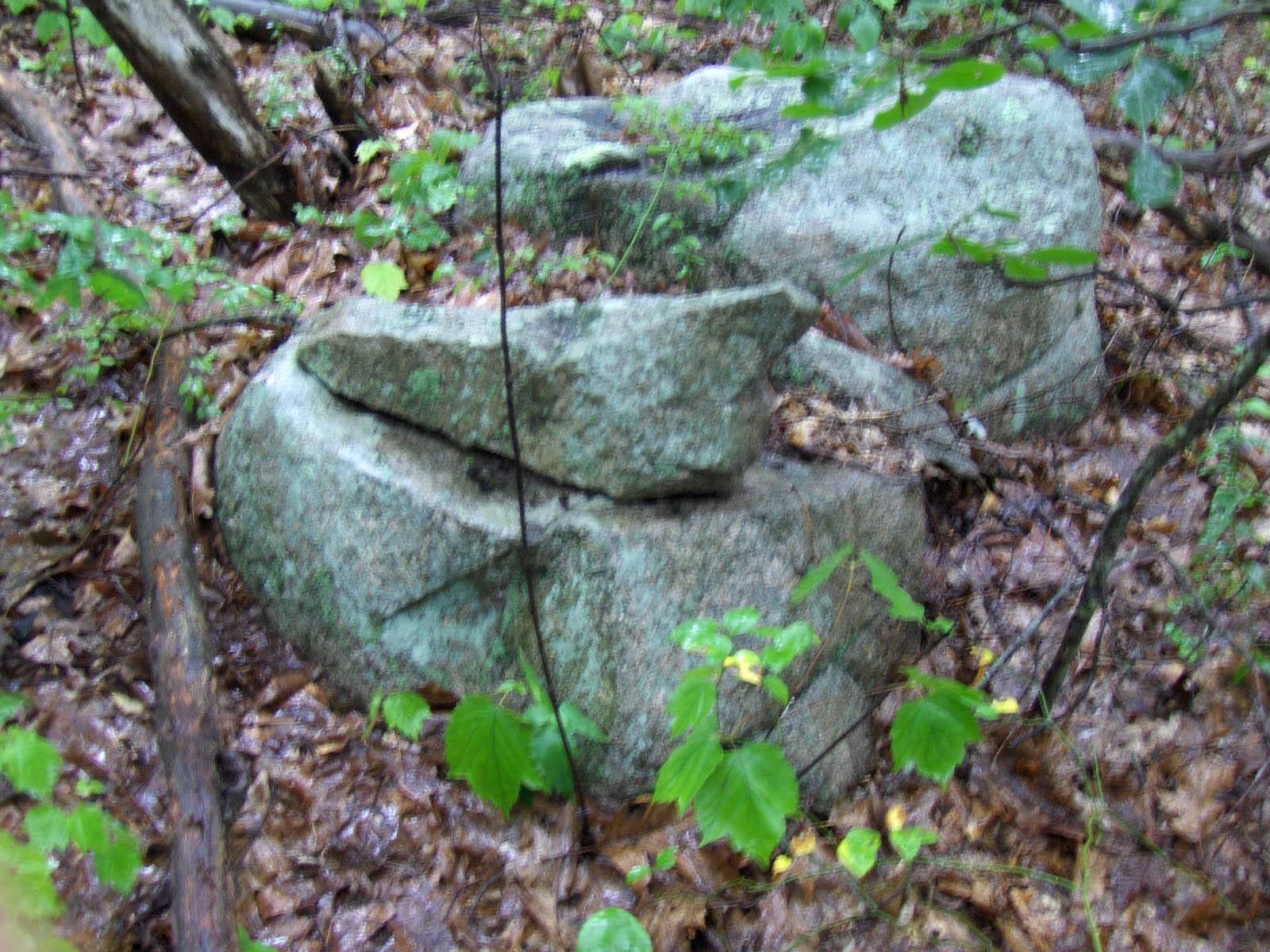 Rock Piles Wrentham State Forest rockonrocks along the trail.