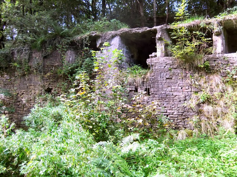 Photographs Of Newcastle Blaydon Burn