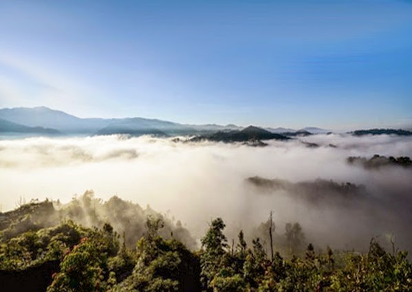 ทะเลหมอกที่เหมืองดินขาว จังหวัดระนอง 