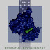 Essential Biochemistry Third Edition by Charlotte W. Pratt Kathleen Cornely PDF Free Download