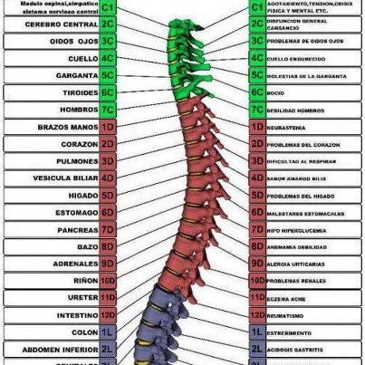El tratamiento de la osteocondrosis con el depósito de las sales