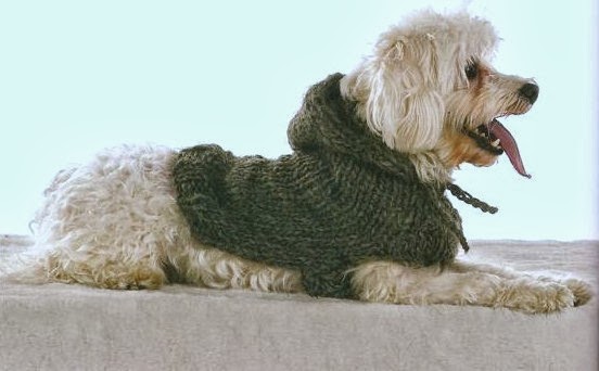 Dog Hoodie Sweater