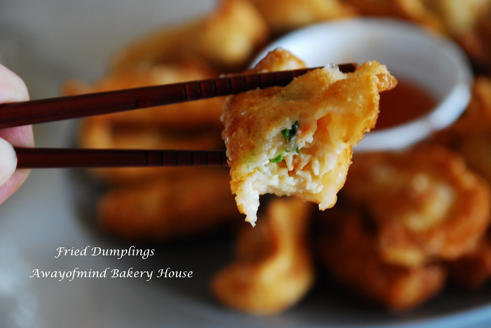 Awayofmind Bakery House Fried Dumplings