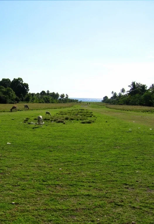 Pétionville grass runway,Haiti