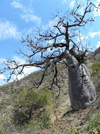 Exposición fotográfica "Fantasmas del Chicamocha"