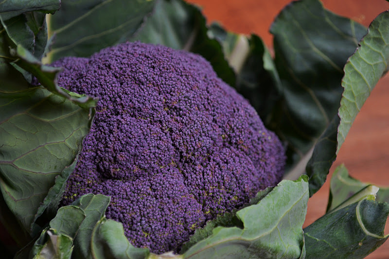 Nourish The Roots Purple Broccoli