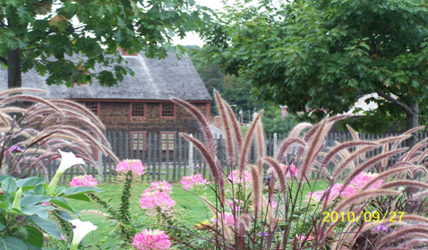 Fort Western annuals