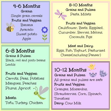 11 Month Old Diets