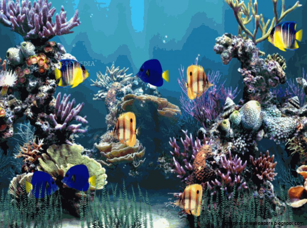 Aquarium View stock photos erstock Aquarium View stock photos erstock