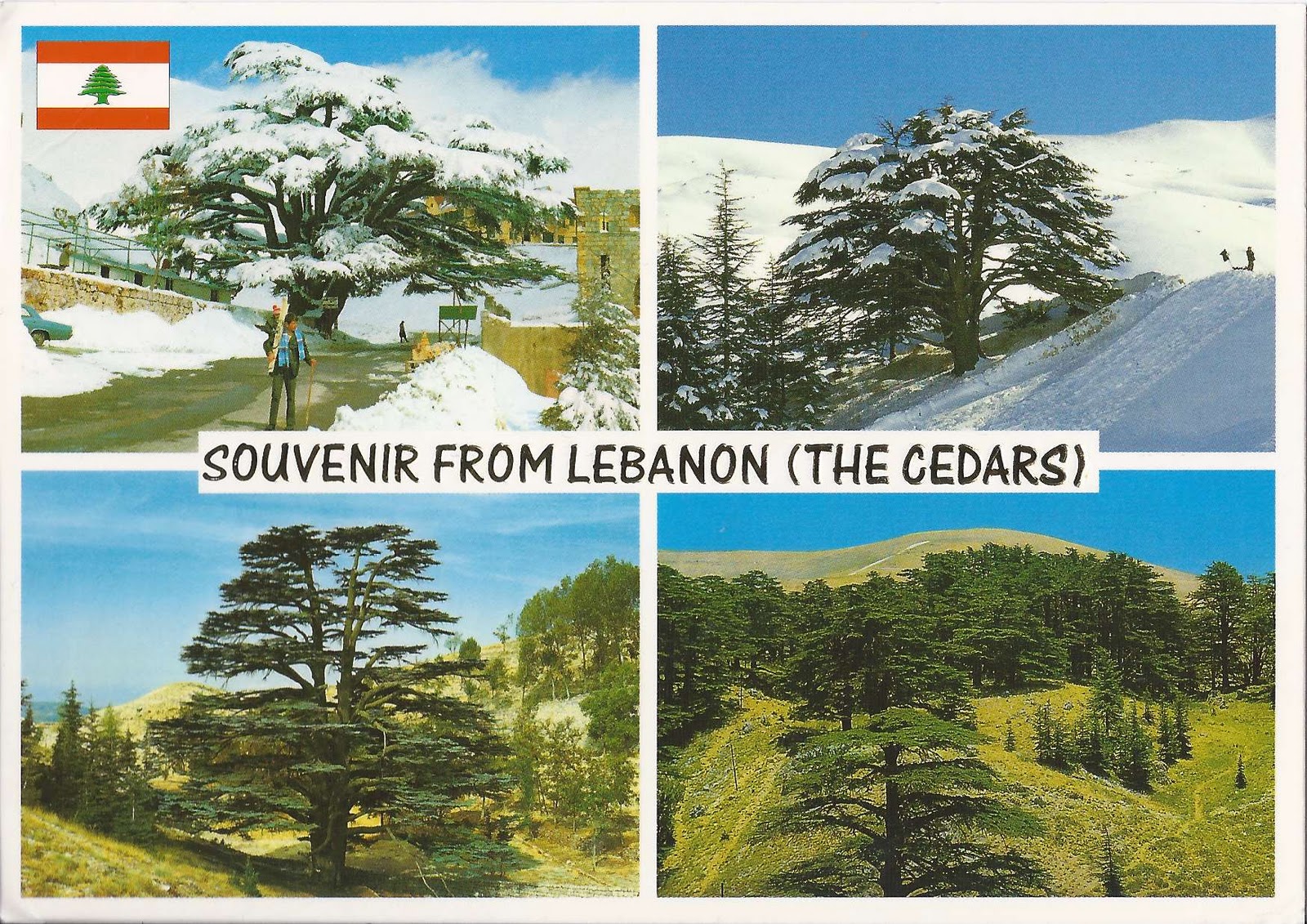 lebanon emblem