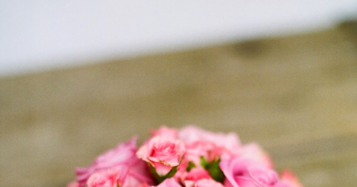 Lessons of Life How flowers help humans