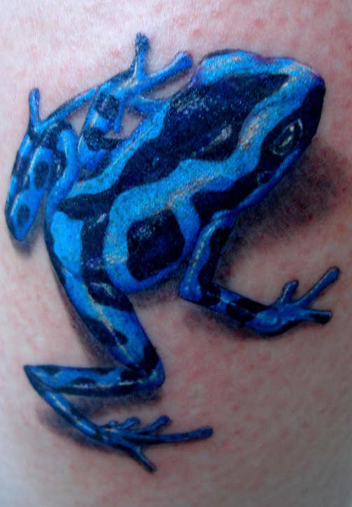 Frog Tattoo Meaning and Pictures