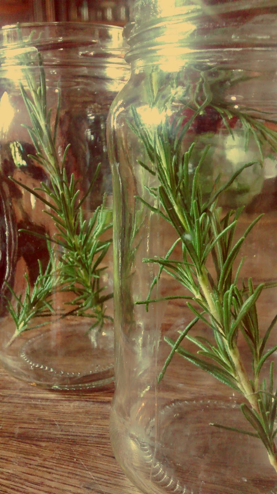 eralamaga Escabeche de zucchinis improvisado