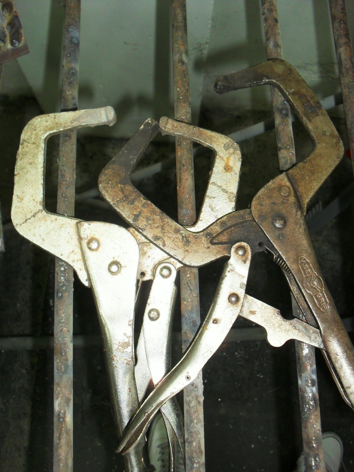 Como Se Dice Pinzas Perras En Ingles