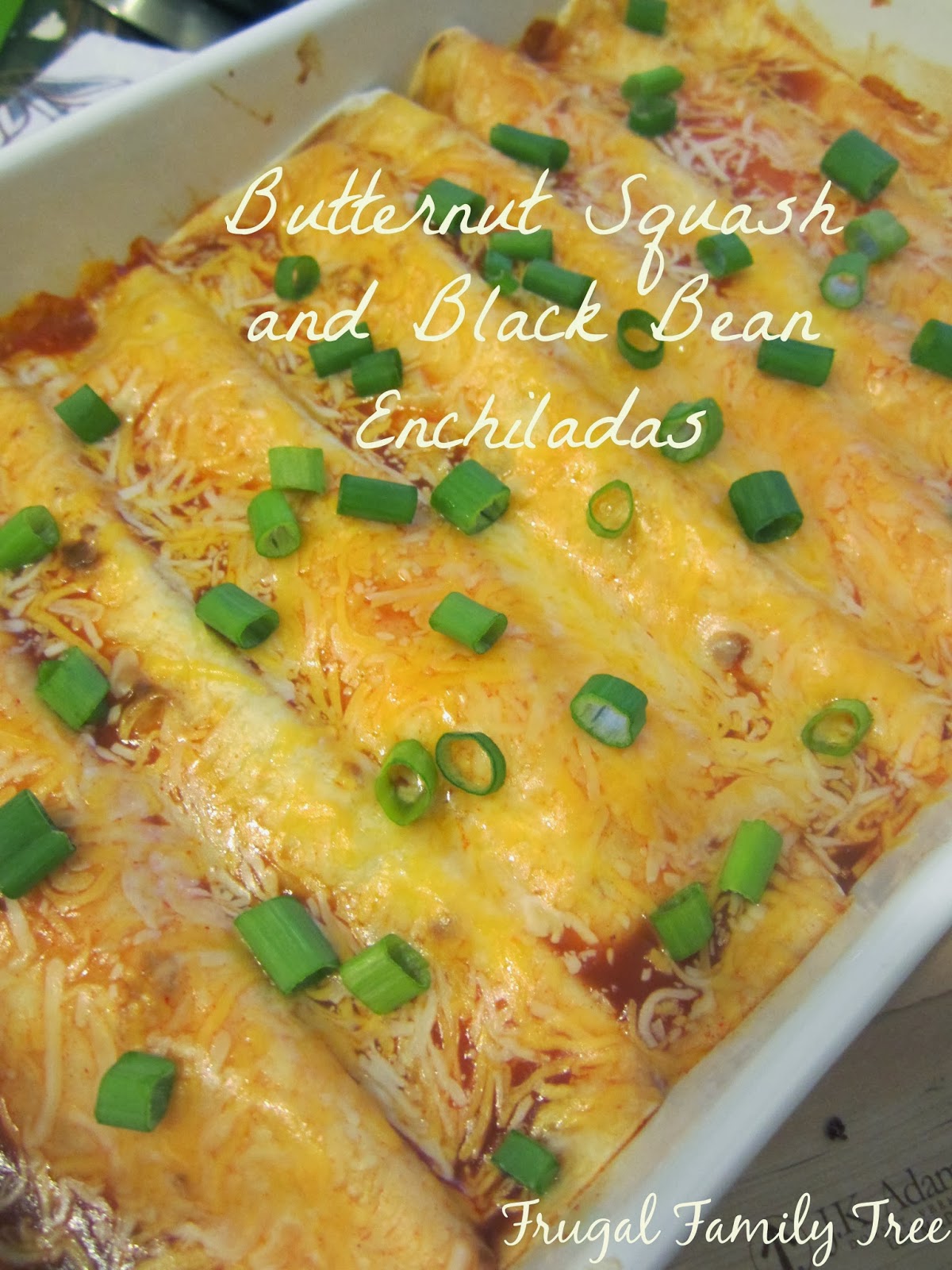 Butternut Squash and Black Bean Enchiladas Frugal Family Tree