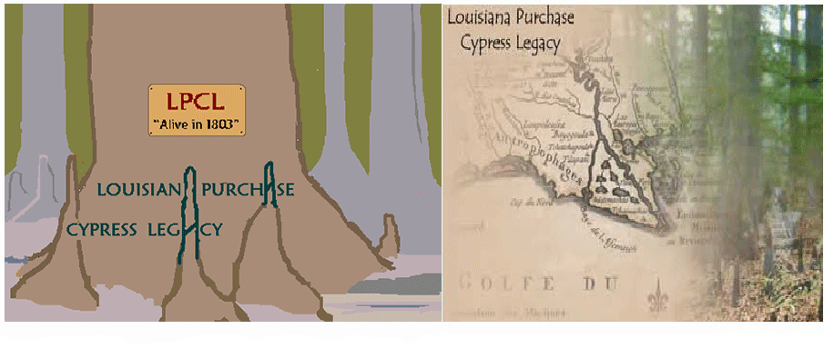 Louisiana Purchase Cypress Legacy