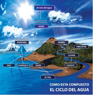 El+Ciclo+Del+Agua+Wikipedia ... que desarrollo sobre el uso, propiedades y como cuidar el agua