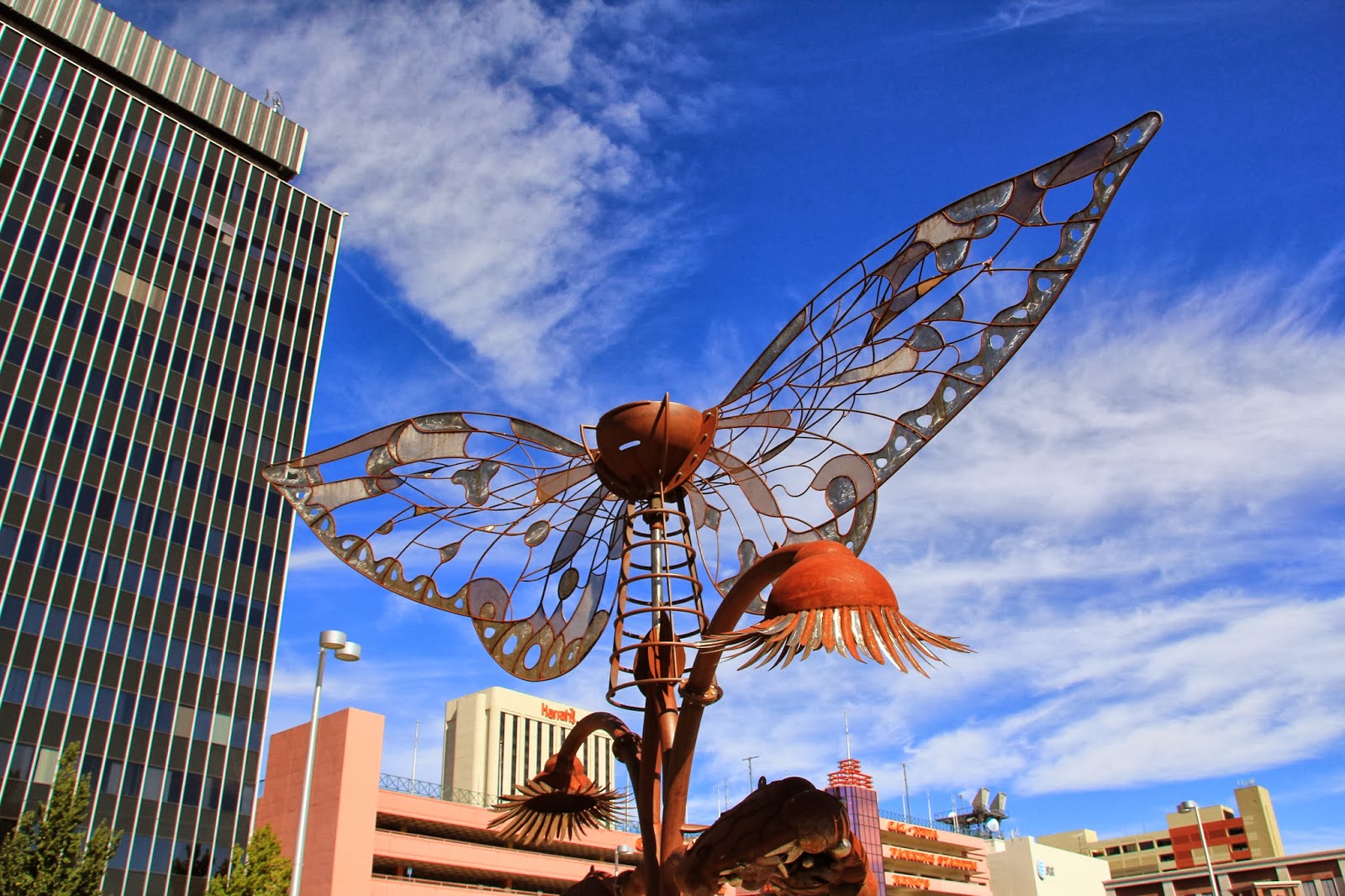 Travels With Twinkles Reno And Beyond